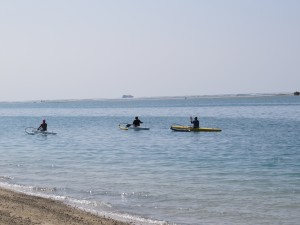 IMG_1377